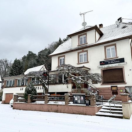 Au Wachtfels Bed & Breakfast Obersteinbach Bagian luar foto