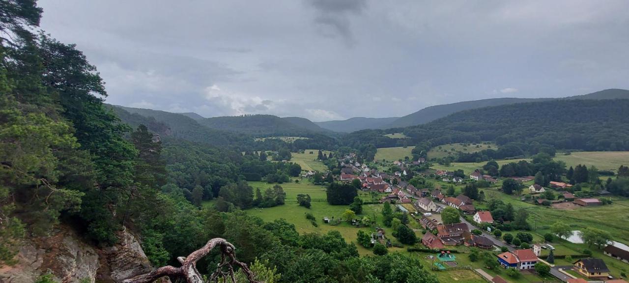 Au Wachtfels Bed & Breakfast Obersteinbach Bagian luar foto