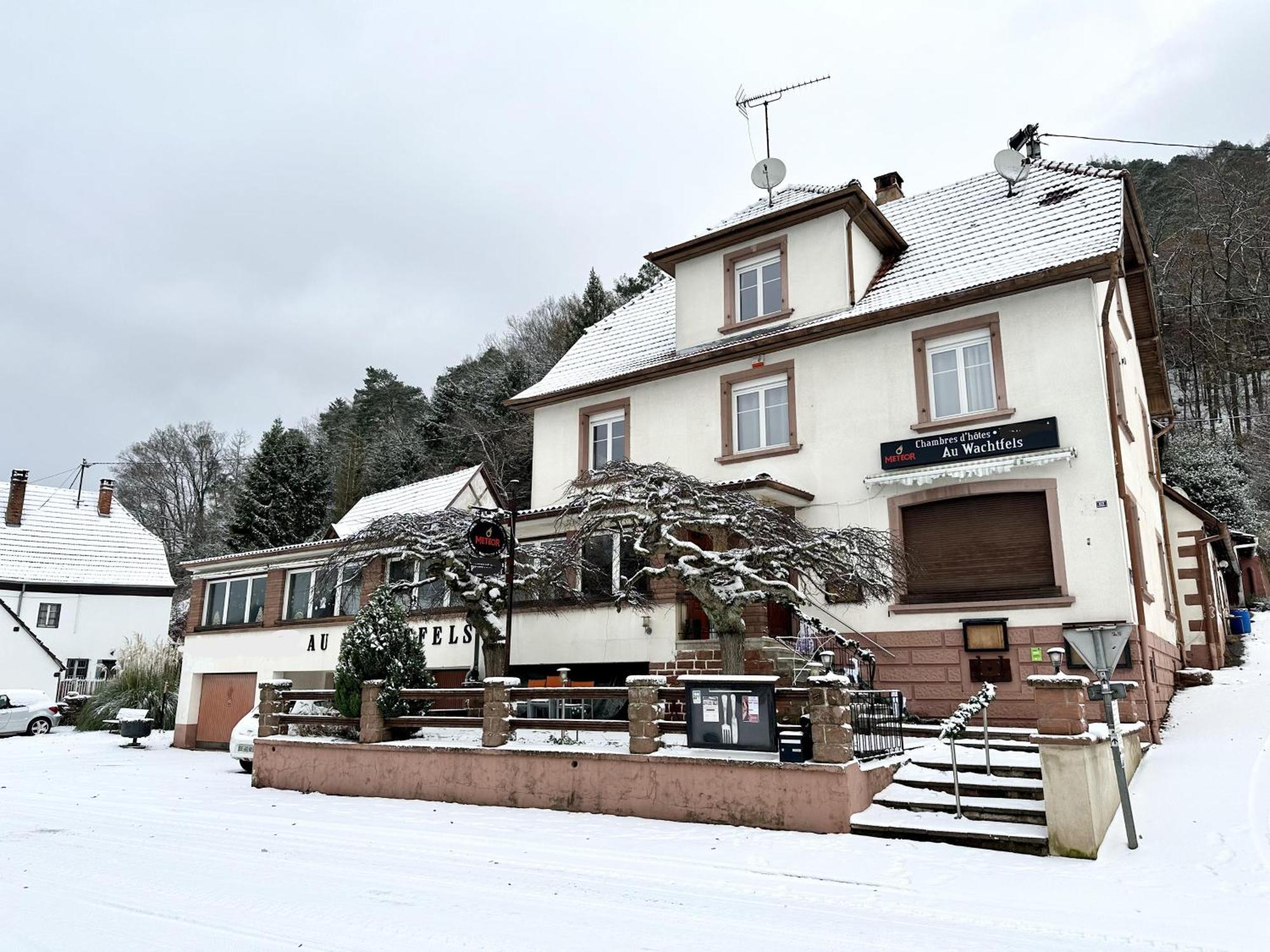 Au Wachtfels Bed & Breakfast Obersteinbach Bagian luar foto