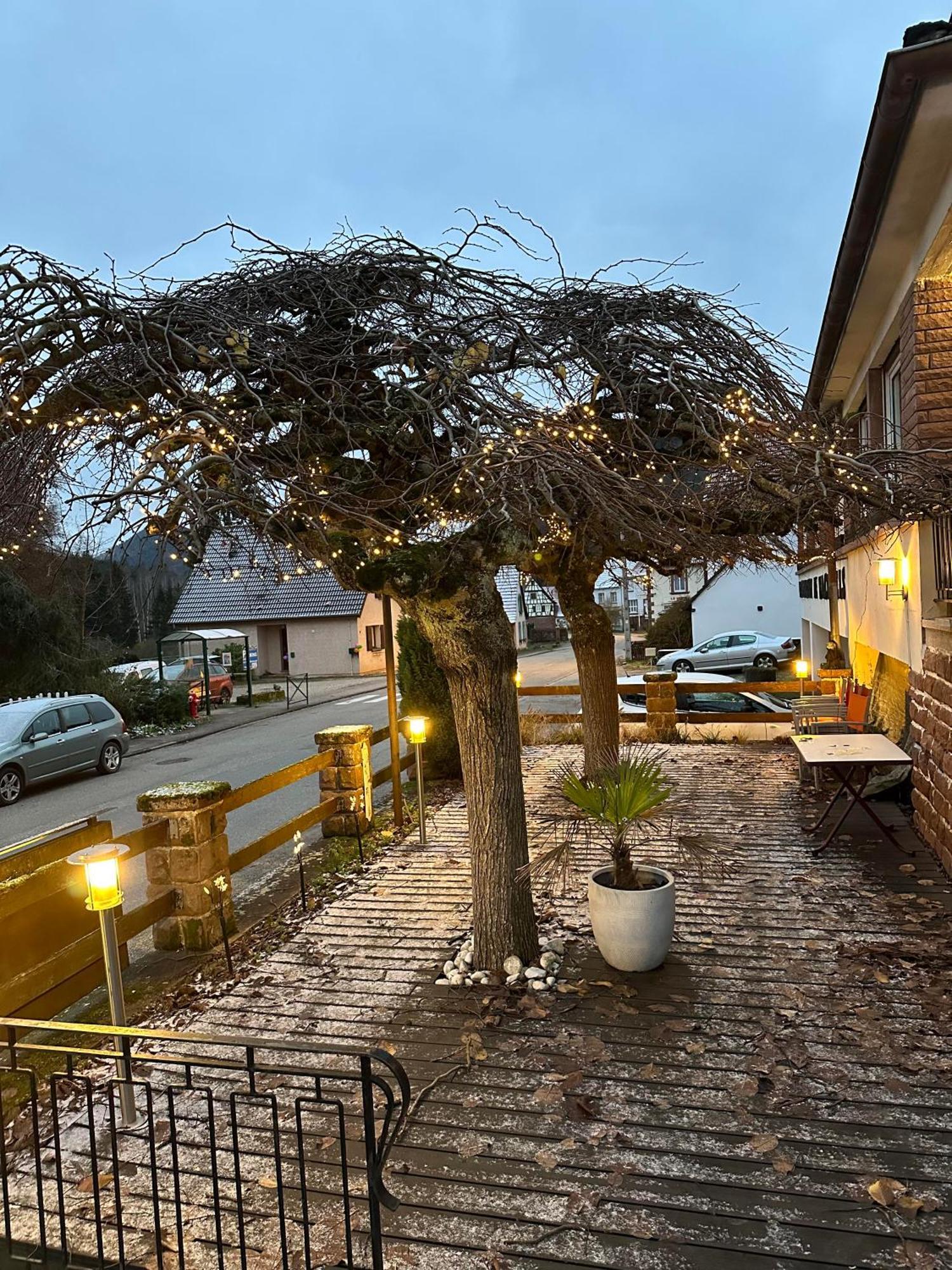 Au Wachtfels Bed & Breakfast Obersteinbach Bagian luar foto
